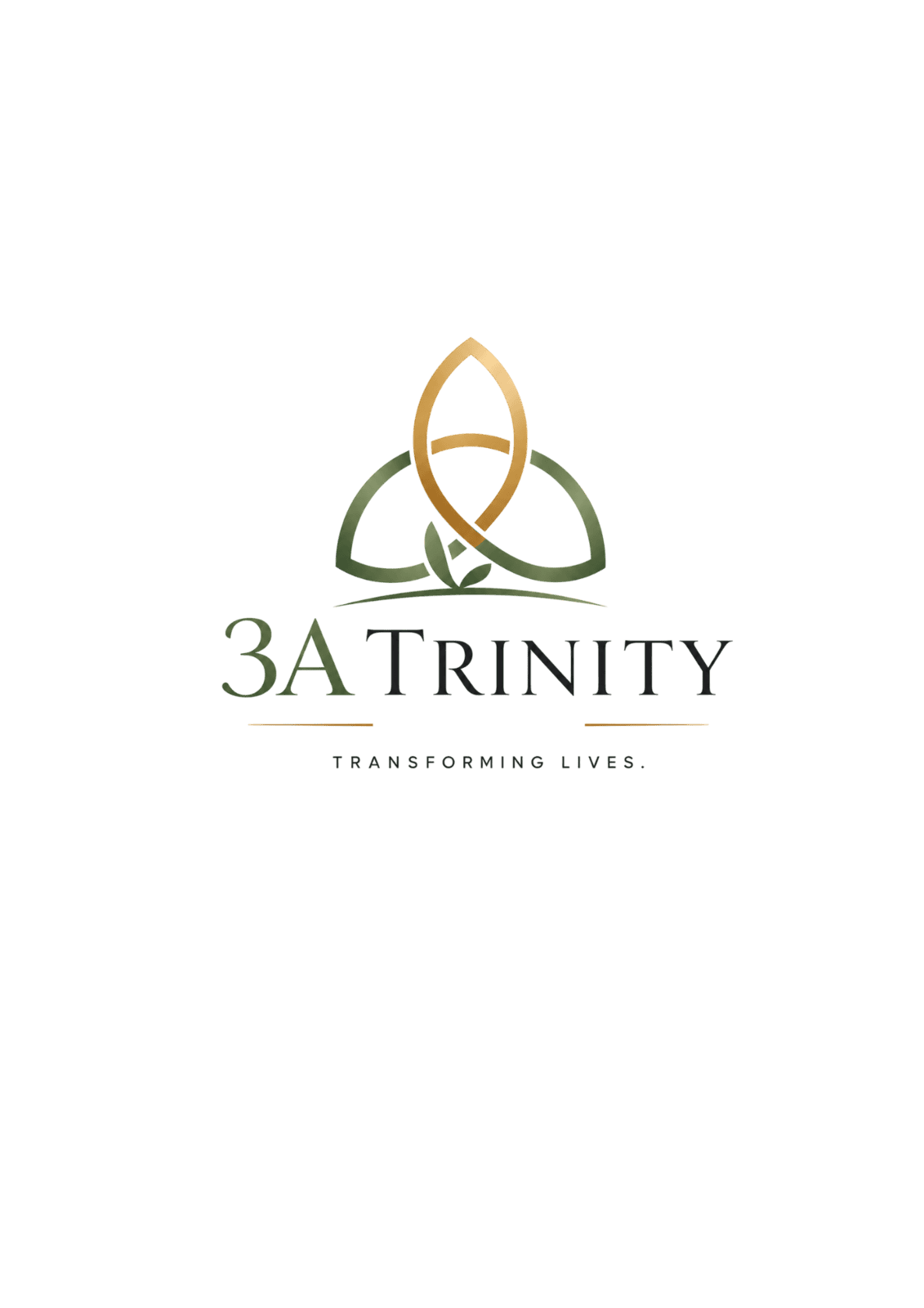 3A Trinity Homes